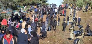 Дві групи мігрантів прорвали польський кордон зі сторони Білорусі