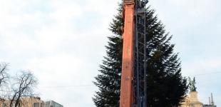 Бесплатно от селян: во Львов привезли главную елку города