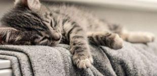 Скільки сплачуватимуть кияни за опалення