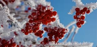 Циклон принес в Украину похолодание с морозами