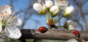 Когда наконец установится теплая погода в Украине: синоптики обновили прогноз