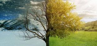 Весна или зима: какой будет погода на Сретение