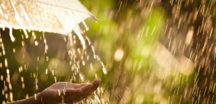 В Украине похолодает до +3