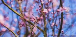 Тепло и сухо: украинцам обещают солнечные выходные