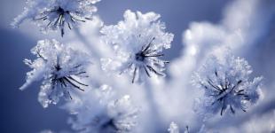 Багато снігу та люті морози до -21: якою буде погода в Україні до середини лютого