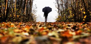 Украинцам обещают сухую и теплую погоду, ночью немного 