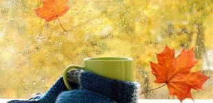 В Украине станет еще холоднее: синоптики сказали, где 