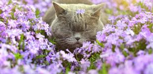 Зонты понадобятся не всем: синоптики назвали области с хорошей погодой