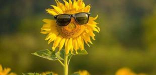 Україні в понеділок прогнозують до +27°, дощі лише на заході