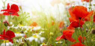 Украину накроют грозы: прогноз погоды на четверг, 27 мая