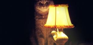 Похоронные агенства: как «разводят» родственников усопших, пользуясь их горем