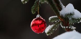 Зима в Украину придет по графику: синоптики рассказали, какой будет погода на Новый год и Рождество