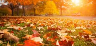 Украинцам обещают 