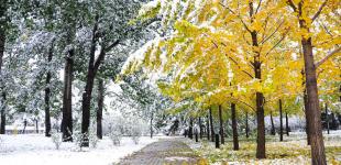 Прогноз погоды на осень: нас ждет два бабьих лета