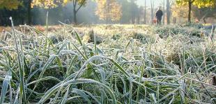 Синоптики спрогнозировали, когда в Украине ударят первые заморозки