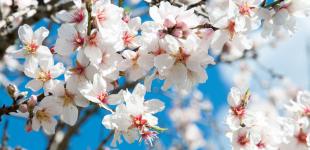 Синоптик дала прогноз погоды в Украине на апрель