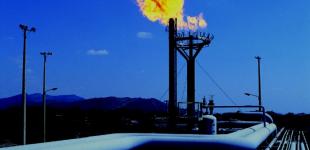 Украина должна полностью обеспечивать свои потребности газом собственной добычи