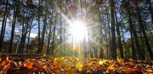 Дощі залишають Україну: у середу покапає лише в чотирьох областях