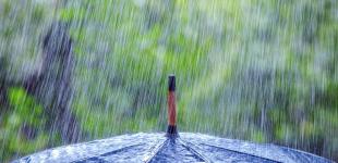 Грозы, ливни и шквалы. Спасатели предупредили об ухудшении погоды в ряде областей Украины