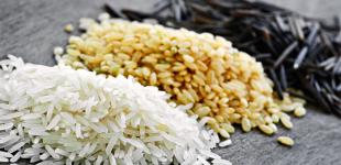 Какой бывает рис