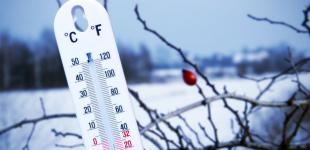 В Киеве ударит мороз -12 градусов: синоптики предупредили о резком похолодании
