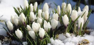 Украина – с дождями, мокрым снегом, где повезет с теплом