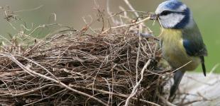 После удара непогоды: синоптик рассказала, какой будет погода в Украине на выходных