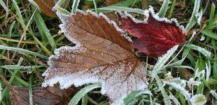 Ночные заморозки и солнечные дни: прогноз погоды на выходные