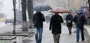 На востоке Украины возможен снег, а в Киеве - дождь: прогноз погоды на 15 ноября 