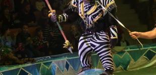 МКМС готовит законопроект о запрете использования животных в цирках