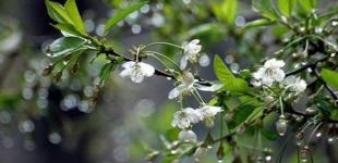 Украину на этой неделе будет «качать» от заморозков до + 23°