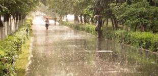 В Украине резко похолодает: синоптик прогнозирует снижение температуры до +15