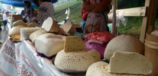 Гуцульскую овечью брынзу предлагают включить в список ЮНЕСКО