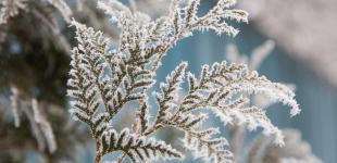 Синоптик рассказала, когда в Украину придут первые морозы