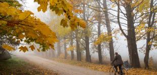 Тепла не чекайте: у четвер в Україні стане ще прохолодніше