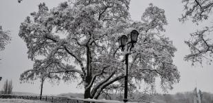 В Украине мороз усилится