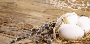 У вербну неділю в Україні дощі, посилення вітру та заморозки