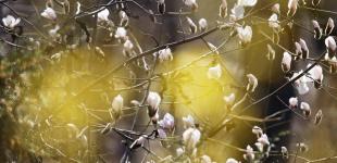 Синоптик рассказала, когда снова потеплеет