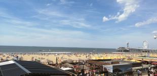 В Нидерландах зафиксировали рекордную жару