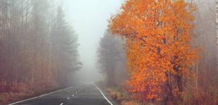 Прогноз погоды в Украине – синоптики предупреждают о тумане