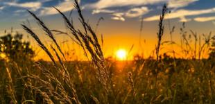 Погода в августе: прогноз в Украине на последний месяц лета