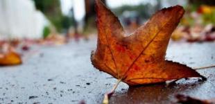 Пора доставать зимнюю одежду и менять 