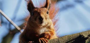 У середу Україну накриє похолодання