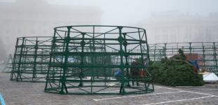 В Украине начали ставить первые новогодние елки