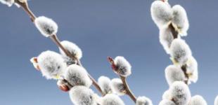 В Украину идет существенное потепление