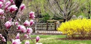 Украине прогнозируют 