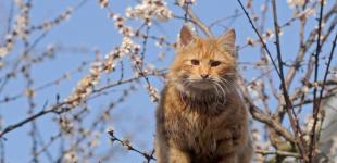 Синоптик спрогнозувала найтепліший день в Україні: названо дату