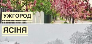 На Закарпатье выпал снег