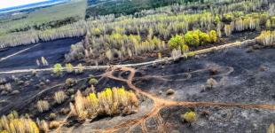 В Чернобыльской зоне ликвидировали все источники огня