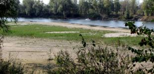 Уровень воды в Десне упал до минимума за 140 лет наблюдений